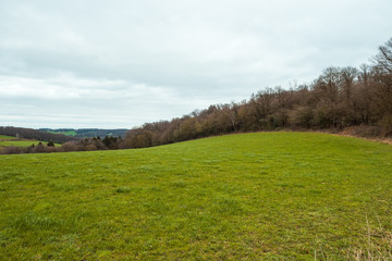 Wiese in der Landschaft