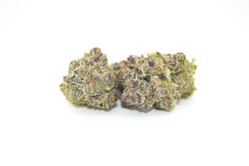 Gelato 2