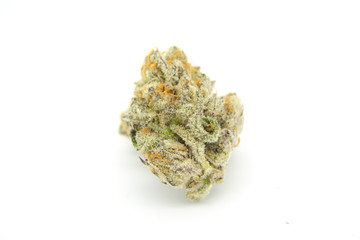 Tropicana Cookies 17