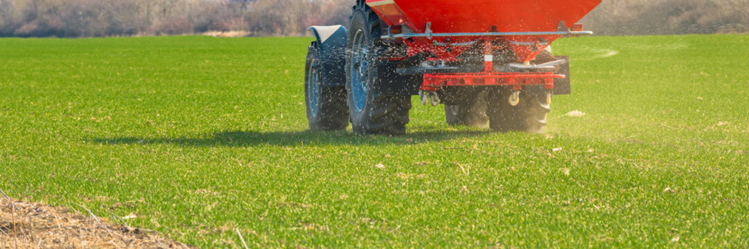 Agricultural Tractor Fertilizing Wheat Crop Field With NPK