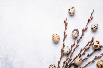 Easter background with quail eggs and pussy willow