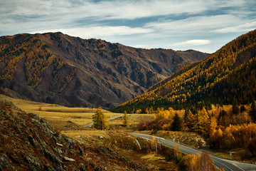 Asphalt road to the mountains of Altai passing through the autumn landscape