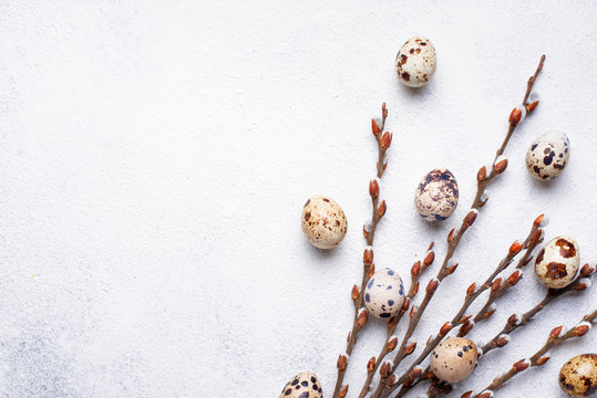 Easter Background With Quail Eggs And Pussy Willow