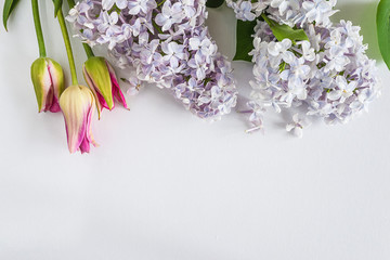 Beautiful spring background: bouquet of tulips and lilac on white background