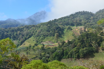 Fototapeta na wymiar Vue Panoramique Champs Boquete Panama - Panoramic View Fields Panama