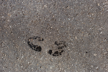 asphalt texture with boot imprint