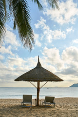 Tropical sand beach with palm tree and place for relax
