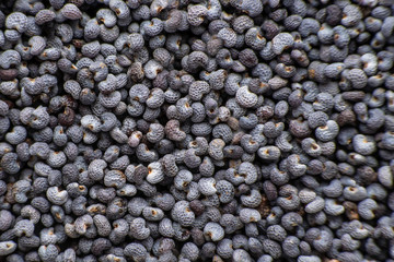 background of dried poppy seeds close-up