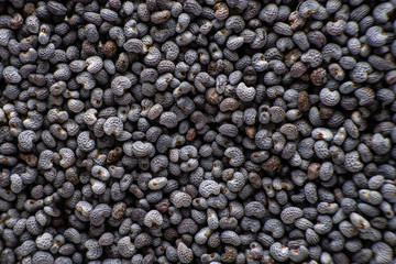 background of dried poppy seeds close-up