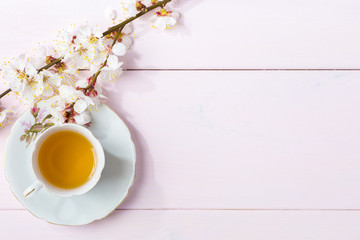 Obraz na płótnie Canvas Cup of tea and spring flowers (blooms of an Apricot) on a light pink wooden table.