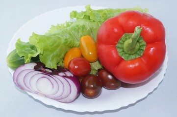  ingredients for vegetable salad on white background