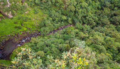 Vale com rio e floresta