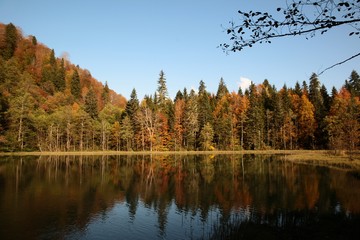 Landscape in the forest with a lake.savsat/artvin/turkey