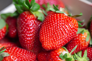 tasteful red ripe strawberries