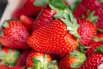 tasteful red ripe strawberries