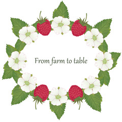 Vector illustration of ripe raspberries, leaves and flowers. Card template with a sample text -04