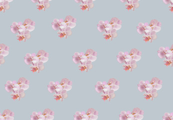 Vector seamless pattern with pink gentle orchids.