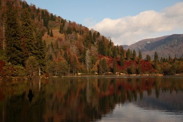 Landscape in the forest with a lake.savsat/artvin/turkey