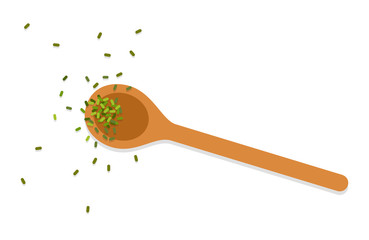 Wooden spoon with spices vector flat isolated