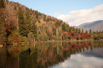 Landscape in the forest with a lake.savsat/artvin/turkey