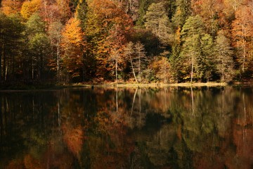 Landscape in the forest with a lake.savsat/artvin/turkey