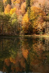 Landscape in the forest with a lake.savsat/artvin/turkey