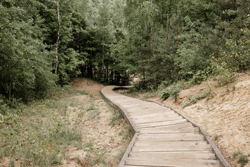 wooden road leads to the forest