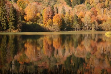 Landscape in the forest with a lake.savsat/artvin/turkey
