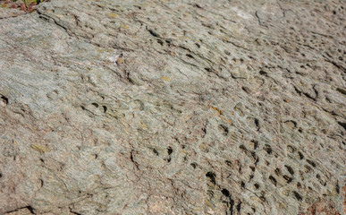 Natural stone background texture, gray green color