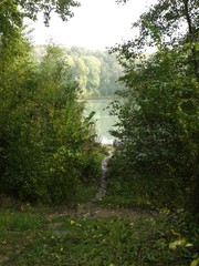 Etang vu de la forêt