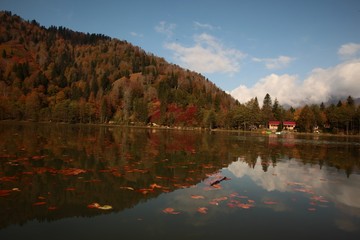 Fototapeta premium Landscape in the forest with a lake.savsat/artvin/turkey