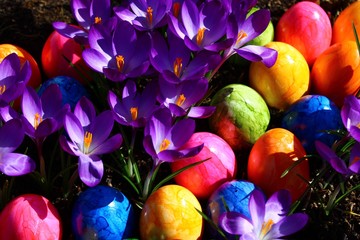 Fröhlicher Ostergruß