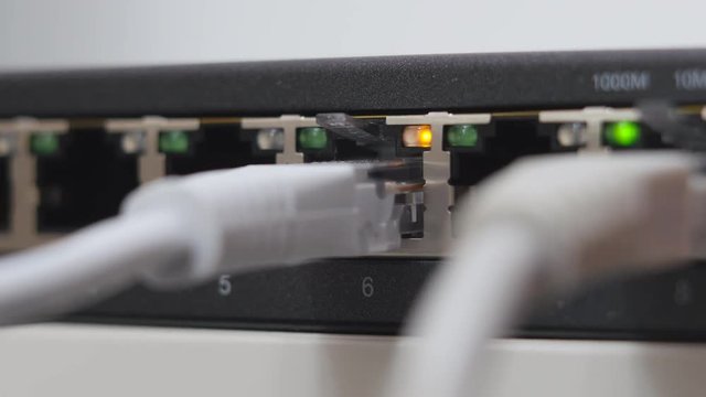 Male Hand Inserts The White Data Cable Into The Gigabit Network Switch