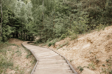 wooden road leads to the forest