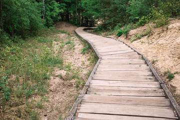 Obraz premium wooden road leads to the forest