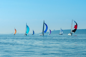 Regatta sailing boats on the river, reflection on the water in the distance shore.
