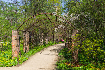 Pergola in the park.