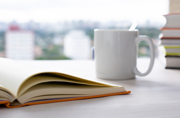 Open book and tea cup in front of a window