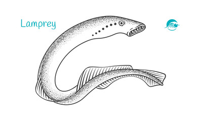  hand-drawn illustration