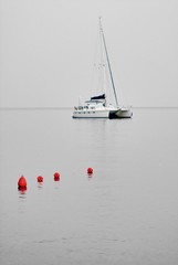 catamarano