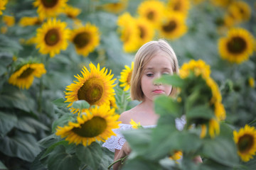 Beautiful little girl in a summer sunflower colorful field