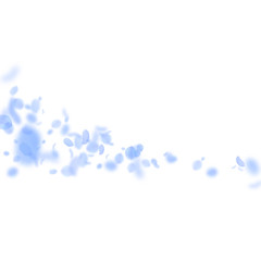 Dark blue flower petals falling down. Attractive r