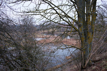 Spring landscape on the lake.
