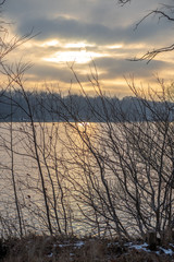 Fototapeta premium colorful spring bushes in latvian countryside