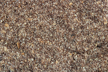 texture of chocolate crumb and cookies