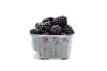 Photo of ripe blackberry in plastic container.