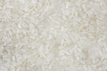 Uncooked Rice Texture