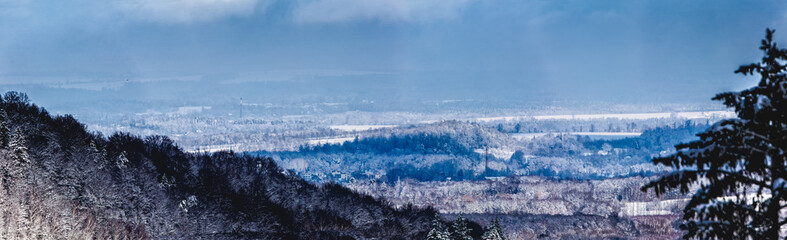 Winter panorama view, trees covered with snow