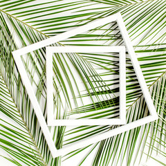 Texture tropical palm leaf with white frame for text on white background. Flat lay, top view