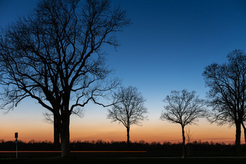 Fototapeta na wymiar Evening mood during blue hour after sunset with silhouette of trees